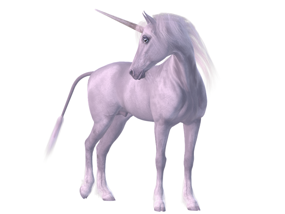 unicorn