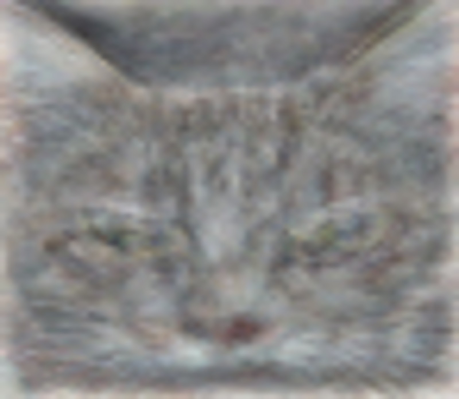 cat detection
